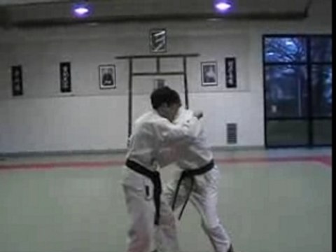 Entrainement Nihon Taï Jitsu Plérin