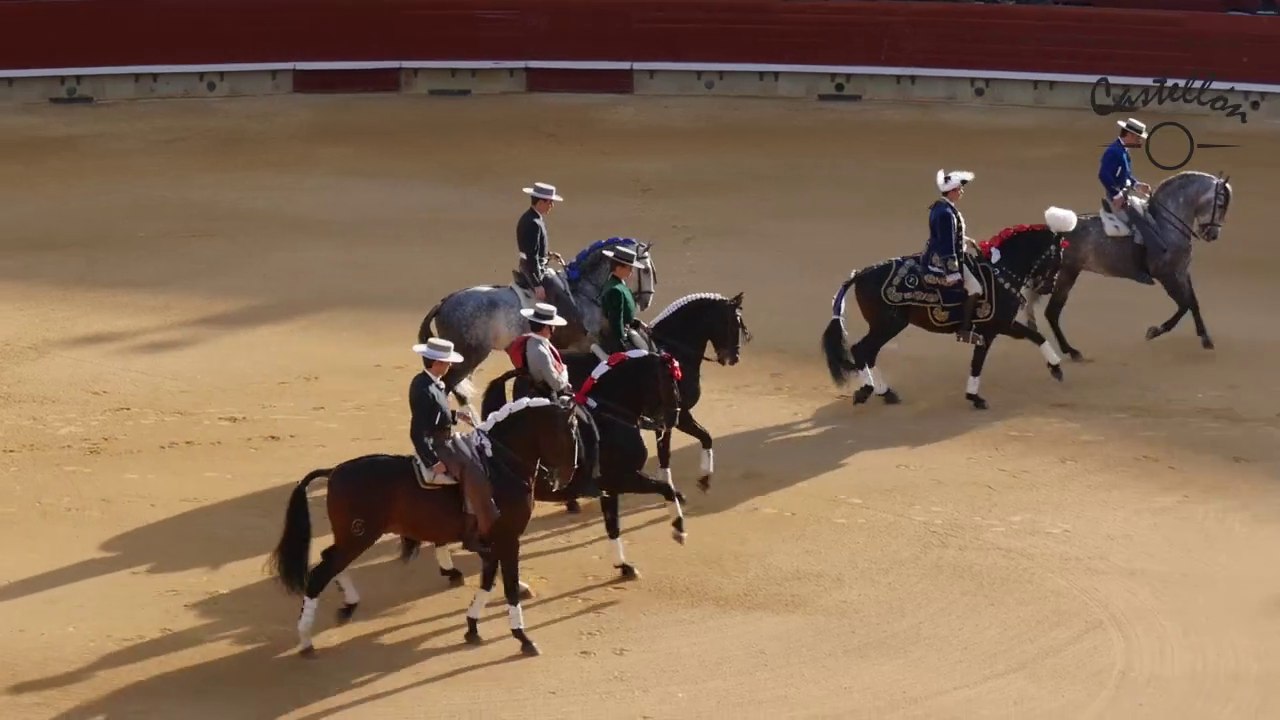 Castellón 29 feb 2016