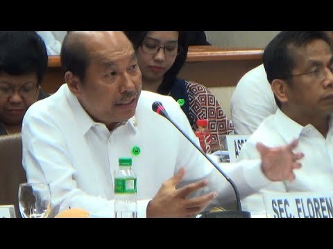 Abad sheds light on DAP at Senate