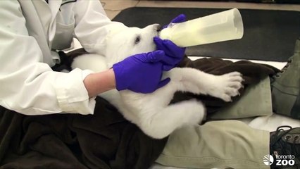 Feeding From a Bottle