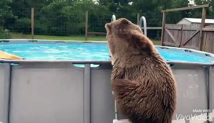 Reydon Shores Entertainment Intro