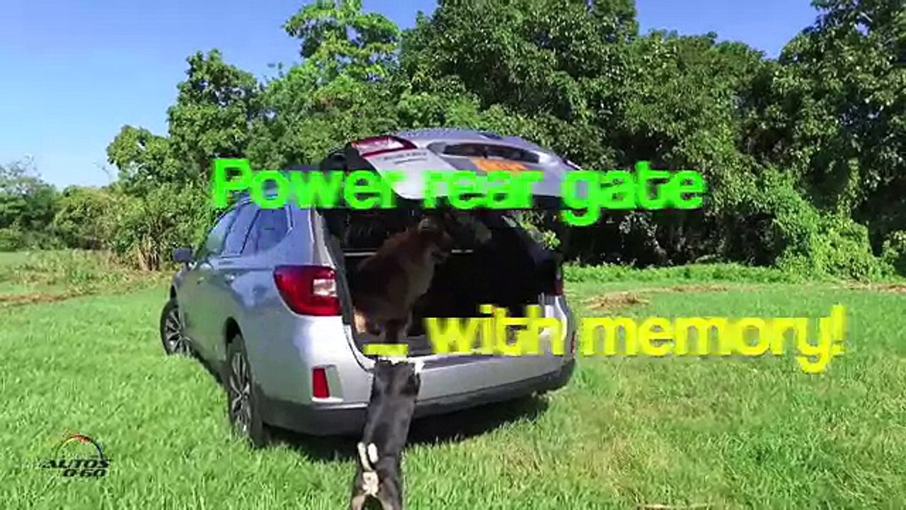 2016 Subaru Outback Test Drive by Franklin, the dog who loves cars
