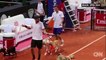 Des chiens de refuges font les ramasseurs de balles à l'Open de Tennis de Sao Paulo