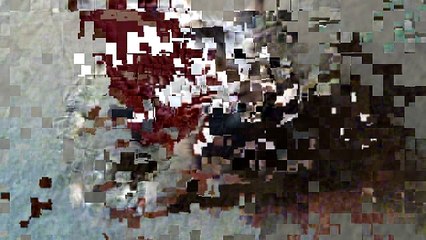 Cute Baby Cats Fun Time with Songs.PK