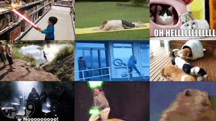 BusyBody Optical Illusion Toy