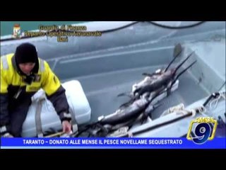 Taranto |  Donato alle mense il pesce novellame sequestrato
