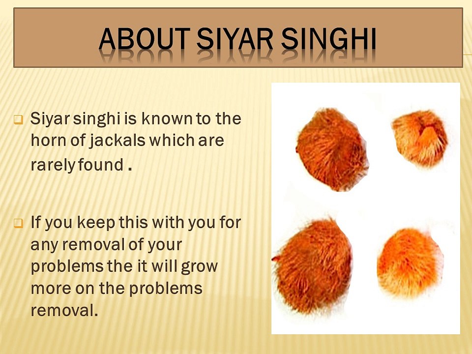 vide for siyar singhi