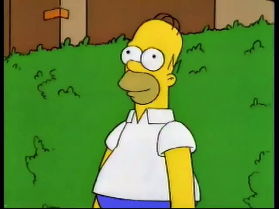 Homer disappears into bushes