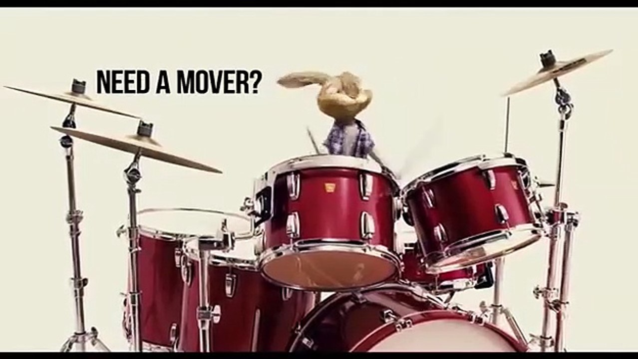 BP Express Moving Co-Rabbit Killing it