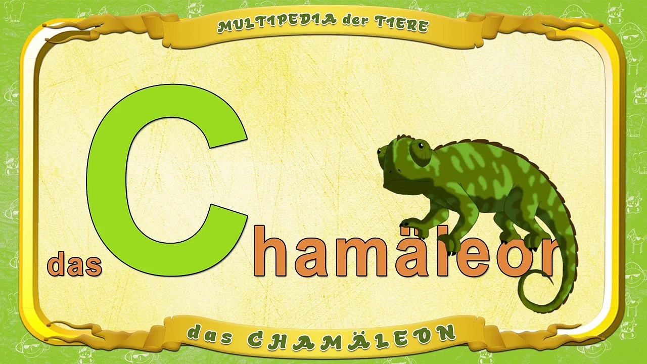 Multipedia der Tiere. Buchstabe C das Chamäleon