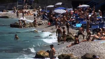 Website Automation Wizard | How To Make Big Money Online