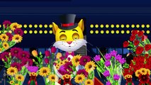 PussyCat, PussyCat Nursery Rhyme  Popular Nursery Rhymes by ChuChuTV