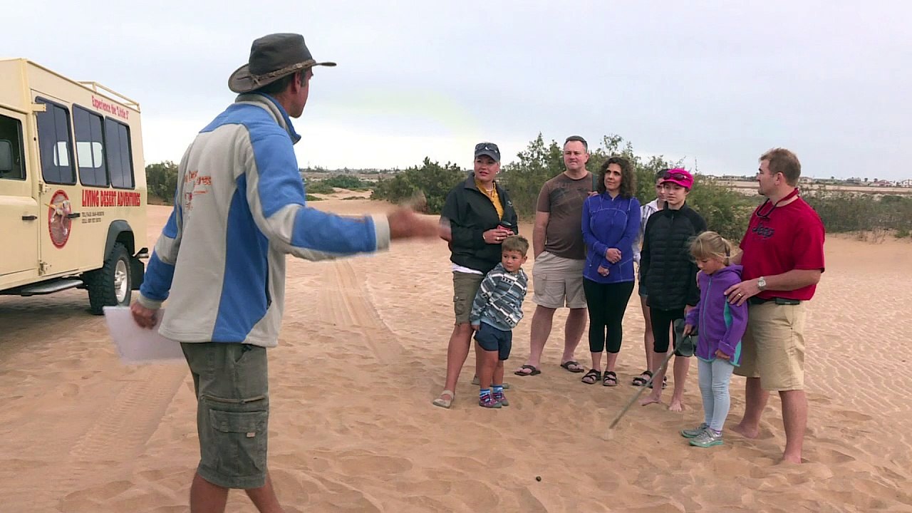 Wüste namib - kulisse für oscar-blockbuster "mad max"