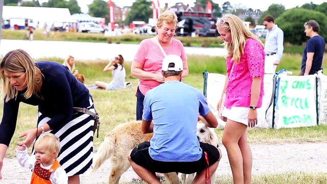 ATP World Tour Uncovered Steve Johnson Wimbledon Dog Show