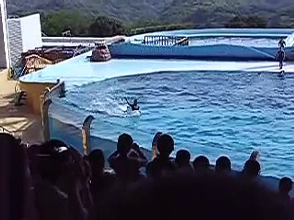 人もジャーンプ！