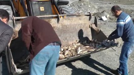 Kaçak Balık Avı" Operasyonu