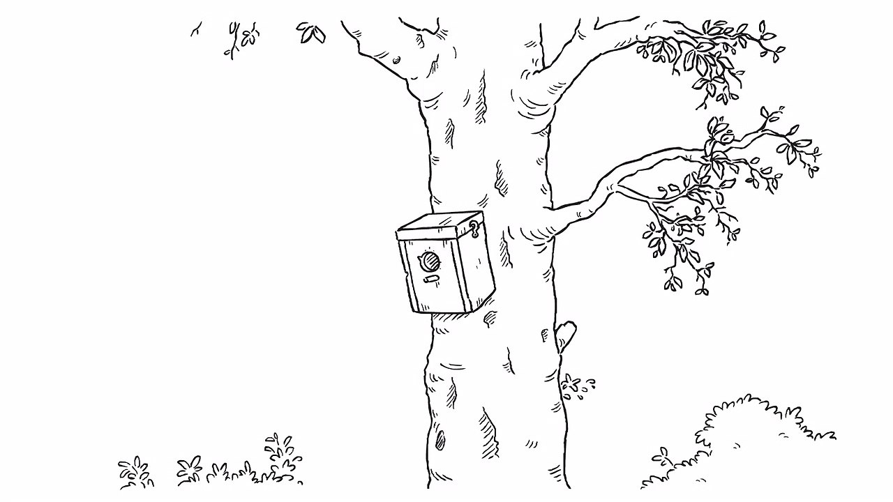 Кот Саймона - серия 24. Весна пришла