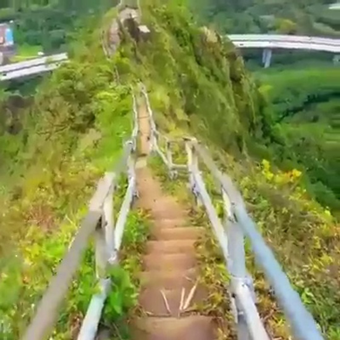 Amazing