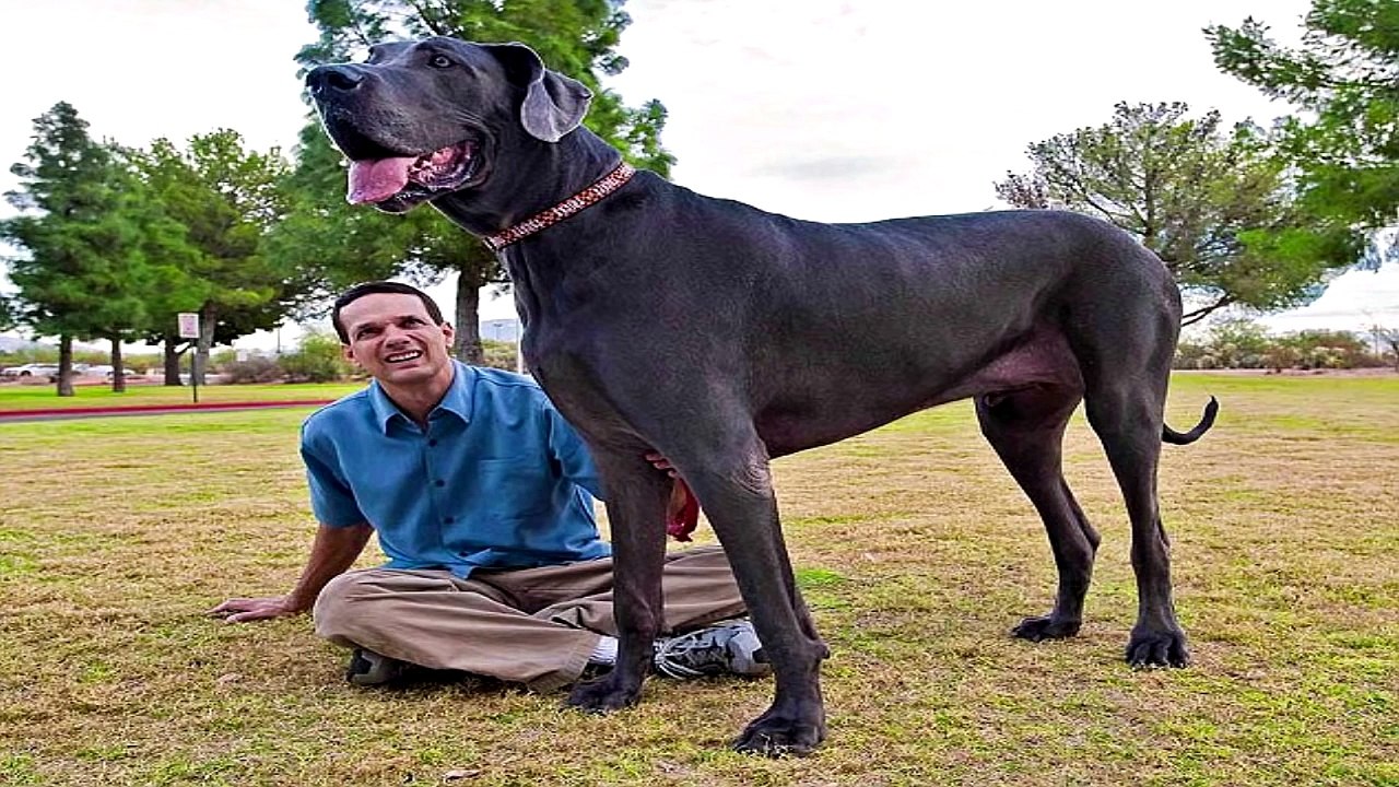 23 Parents You Wont Believe Actually Exist! (Part 2)