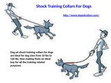 Shock training collars for dogs