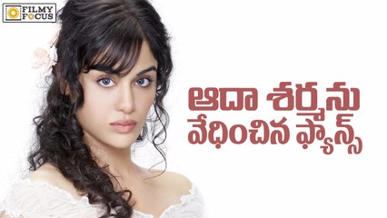 Actress Adah Sharma Mobbed by Fans in Vijayawada - Filmy Focus