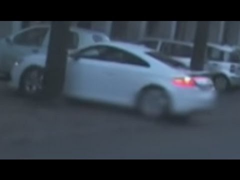 Torino - Furti e rapine, arrestata la banda dell'Audi TT (01.03.16)