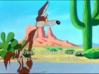 willy coyote cattura beep-beep!!!