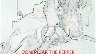 Dont fear the Pepper!!!