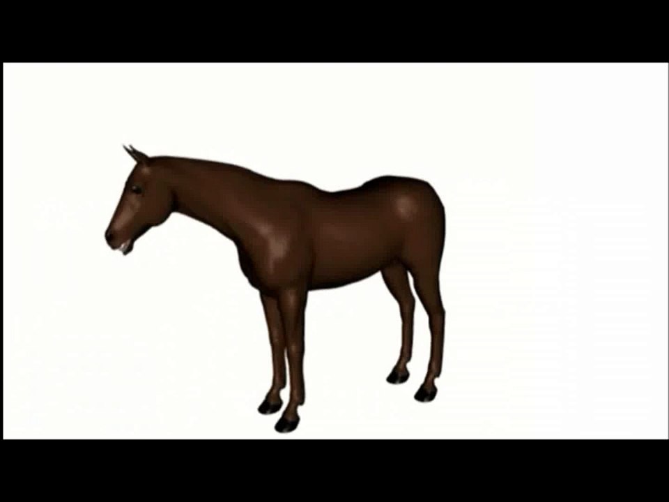 Silly horsie.