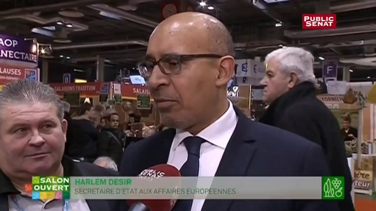 #SIA2016 : Interview d'Harlem DESIR au Salon International de l'Agriculture 2016 par Public Sénat