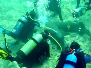 Creature Feature with Atlantis Dive Center Oct 2, 2011