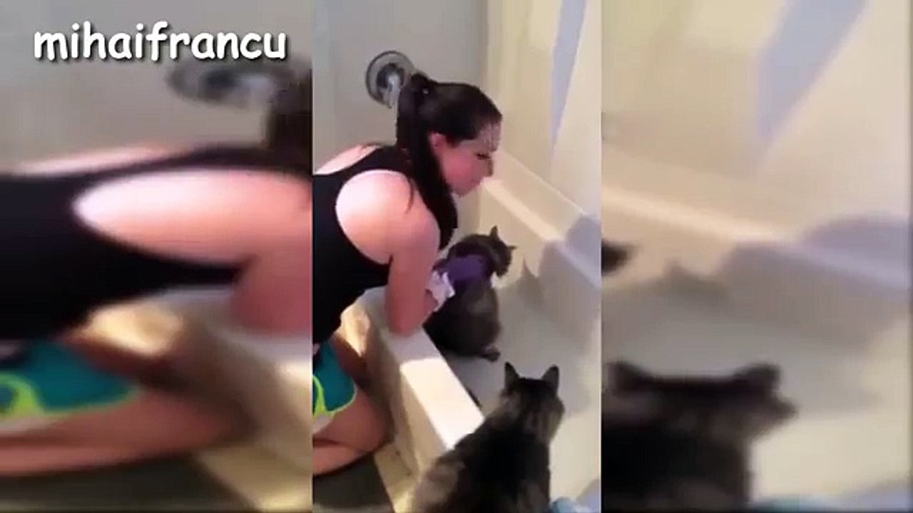 A Funny Cats In Water Compilation - 1