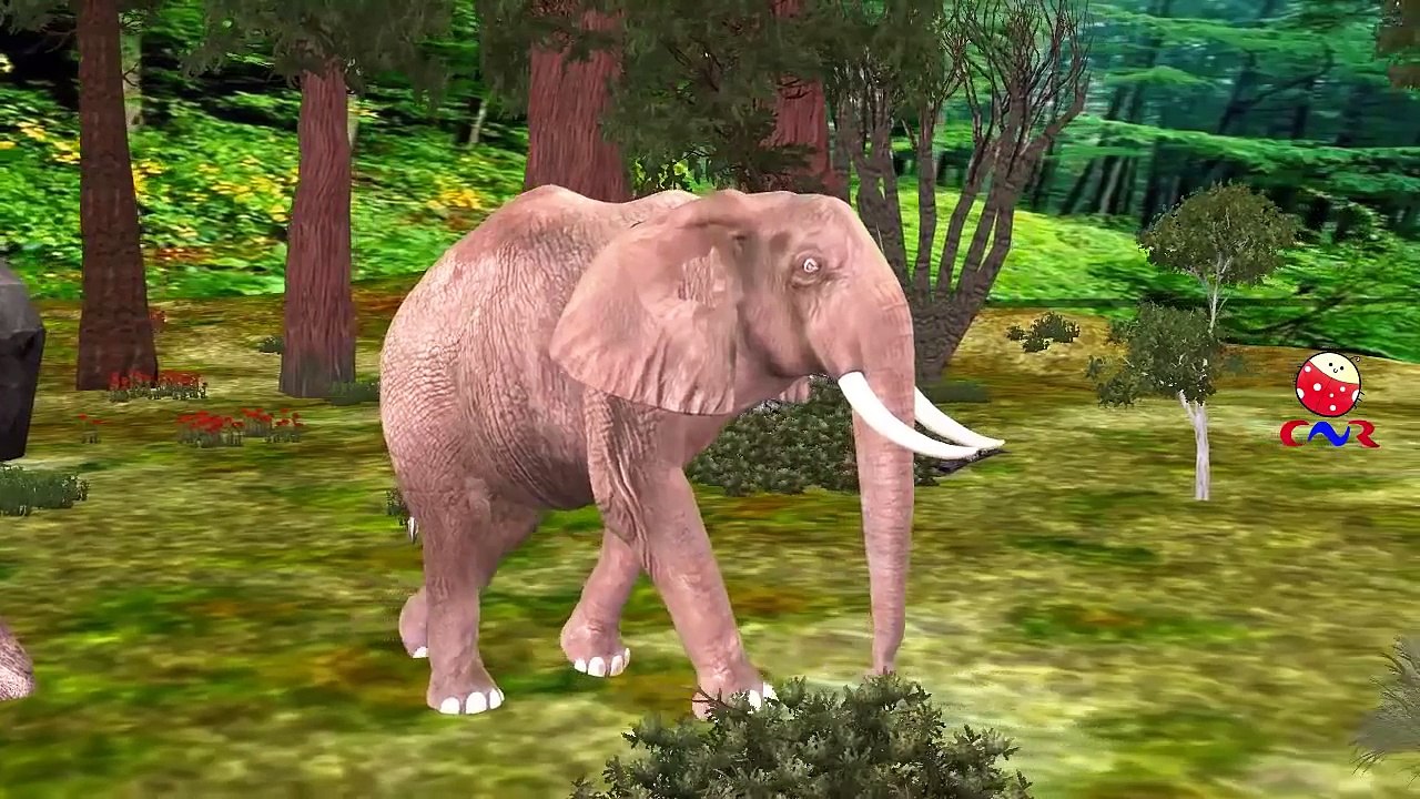 Finger Family Rhymes for Children Elephant Cartoons | Finger Family Children Nursery Rhyme