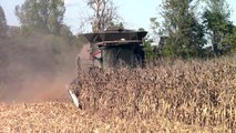 Gleaner S78 Combine Shelling Corn