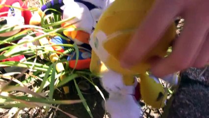 Sonic Plush Adventures-Survivee