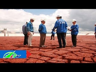 Chuyển hóa bùn đỏ thành đất sản xuất | LTV