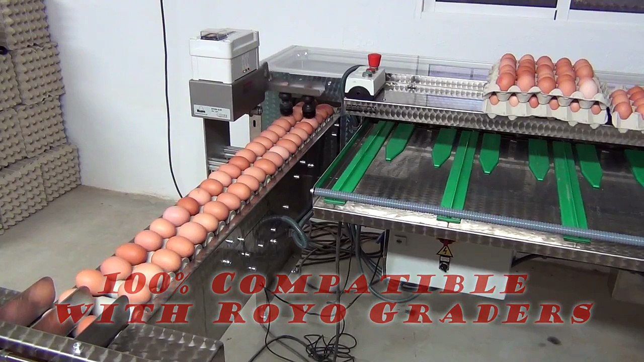 Nuovo Egg Stamper - Easy Print SOR2 Royo Grader