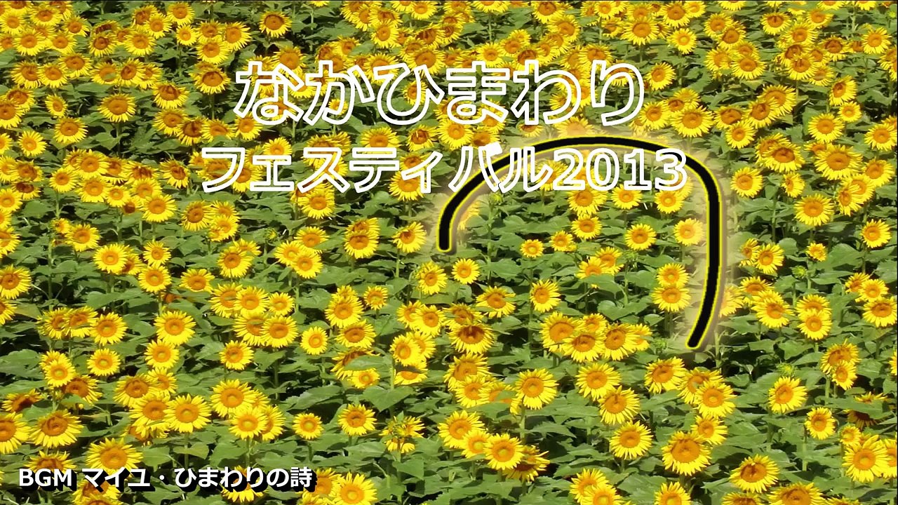 なかひまわりフェスティバル２０１３