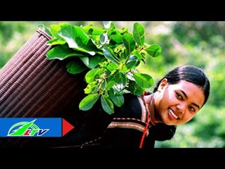 Gùi hoa: Nét văn hóa đặc sắc của người K'ho | LTV