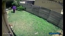 Burglar caught on camera almost killed by huge guard dog... FAIL