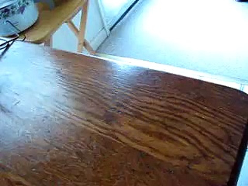 Funniest dogs