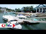 Tuần Châu đưa tàu du lịch về đón khách | QTV