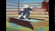 Movies Tom and Jerry, 49 Episode - Texas Tom (1950)