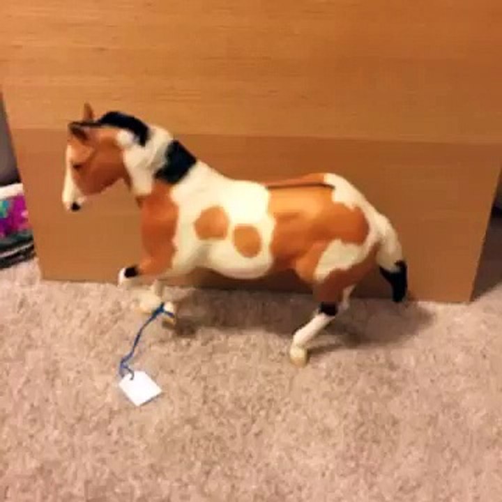 Photoshow entry for graveyard queen stables