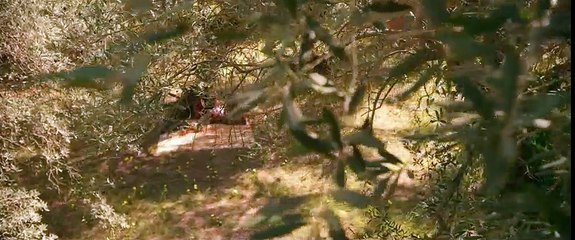 The Young Messiah-trailer No.1#-1