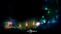 Ori and the Blind Forest : Definitive Edition - Sproutch !
