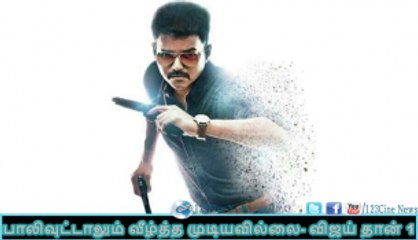 Even Bollywood Couldn’t Beat vijay | 123 Cine news | Tamil Cinema news Online