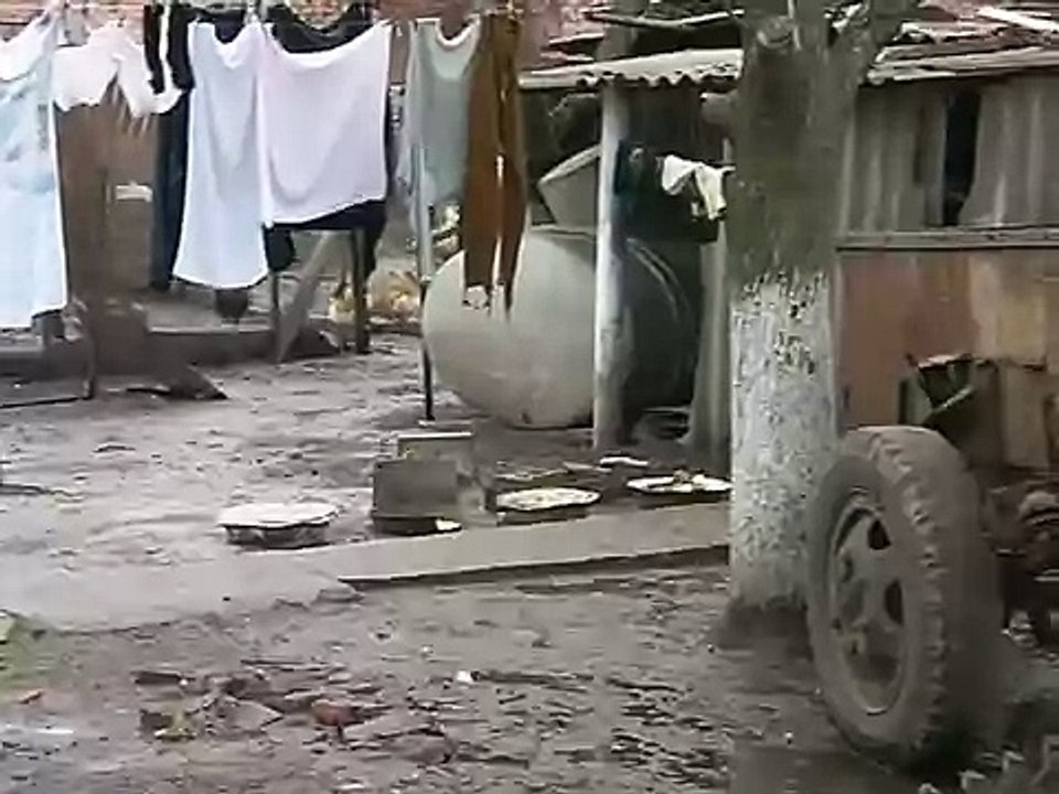 Охота з собакой на экзотические виды птиц
