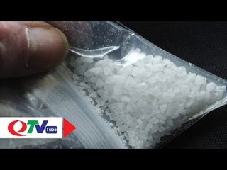 Kinh hoàng sức tàn phá của ma túy đá | QTV