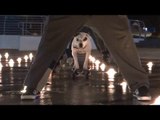 Staffordshire Terrier Has Impressive Skateboarding Skills